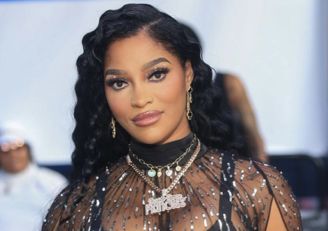 Joseline Hernandez Net Worth